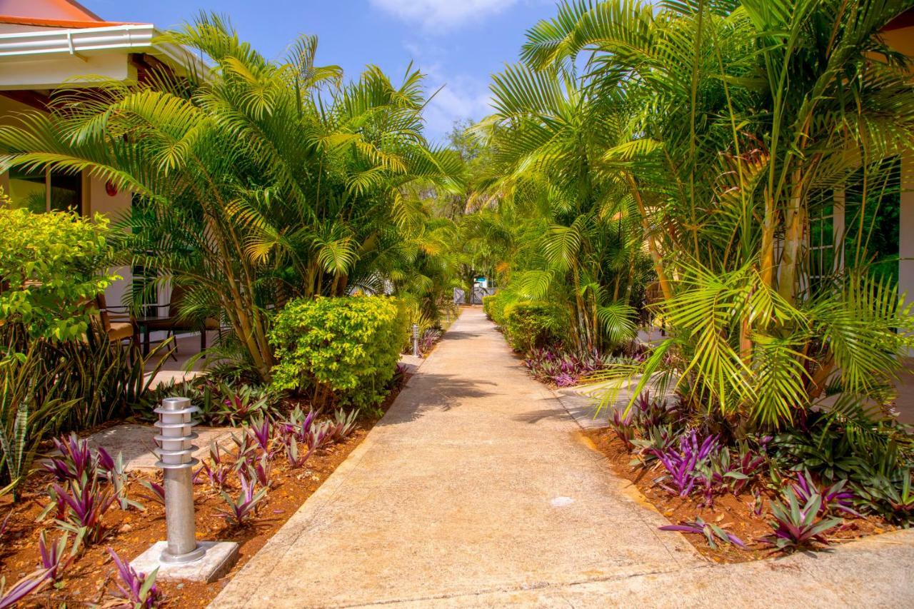 Solare Sai Ecohotel (Adults Only) San Andres  Luaran gambar